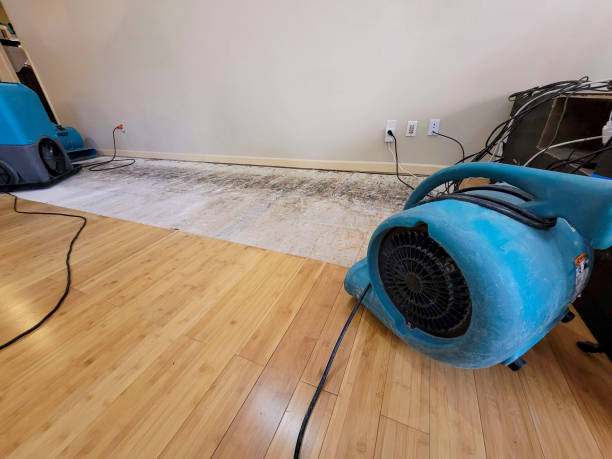 Professional Sewage Cleanup technician working in North Salem, NY